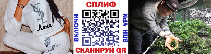 Купить МАРИХУАНА  АМФЕТАМИН  КОКАИН  Вейп ТГК  Гашиш  Мефедрон  A PVP  Терек