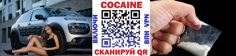 Купить закладки  Терек  COCAIN Fish Scale 