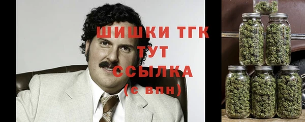 дмт Белокуриха