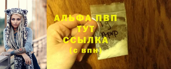 сатива Белоозёрский