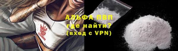 сатива Белоозёрский