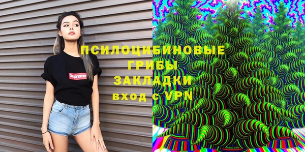 сатива Белоозёрский