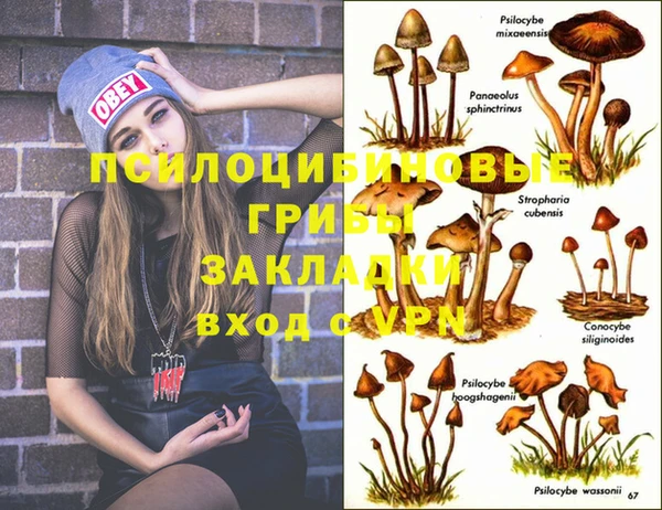 дмт Белокуриха