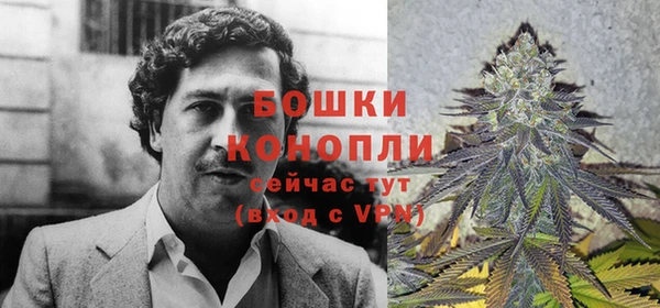 сатива Белоозёрский