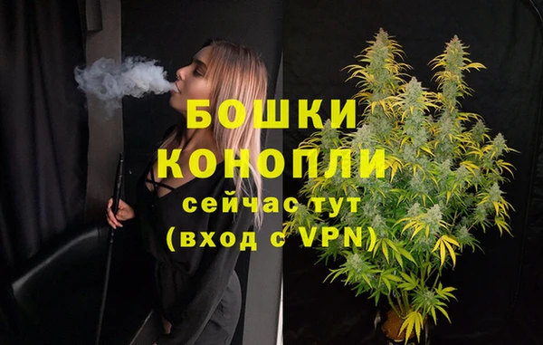 дмт Белокуриха