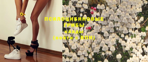 дмт Белокуриха