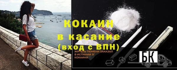 дмт Белокуриха