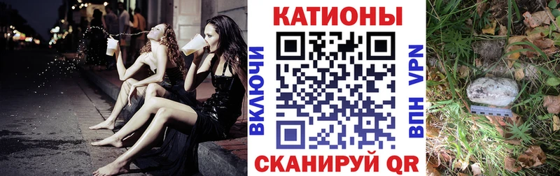 МЕФ  Терек