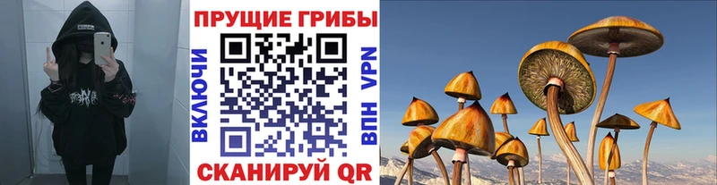 Галлюциногенные грибы мухоморы  Купить где  Терек 