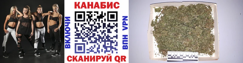 Бошки Шишки семена  Купить  Терек 